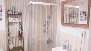 クルジュ・ナポカにあるUltra Central - Stunning Two Bedroom Apartmentのバスルーム(シャワー、洗面台、鏡付)
