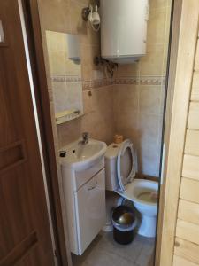 a small bathroom with a toilet and a sink at Chatki u Natki in Łabowa