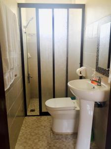 a bathroom with a toilet and a sink and a shower at Lindstrom's Inn in Panglao