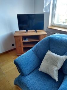 TV a/nebo společenská místnost v ubytování Ubytování Vilová 8, Karlovy Vary