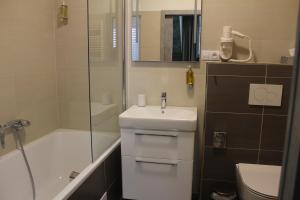 a bathroom with a sink and a shower and a toilet at Quad room in Apartments 461, room No. 9 in Modřice