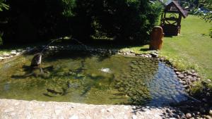 a small pond in a garden with a bird house at Apartmán Route 18 in Liptovský Mikuláš +24 photos