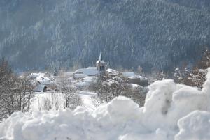 la source d'en haut v zimě