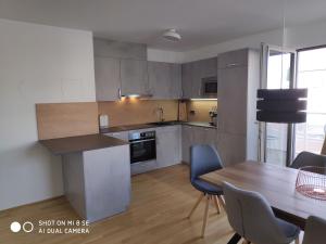Kuchyň nebo kuchyňský kout v ubytování City Appartement Wien-Schwechat