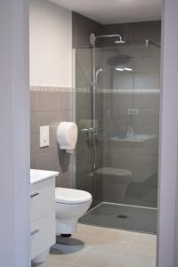 ein Badezimmer mit Dusche, Toilette und Waschbecken in der Unterkunft Hôtel Juantorena in Saint-Étienne-de-Baïgorry + 20 Fotos