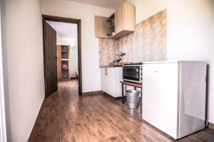 a kitchen with a refrigerator and a wooden floor at Apartments Ljujić in Kruče