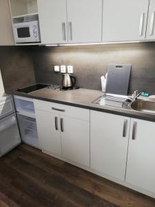Kuchyň nebo kuchyňský kout v ubytování Apartmany Agatha