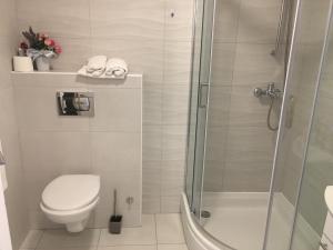 Kúpeľňa v ubytovaní Apartmani Eden Vrsi Mulo