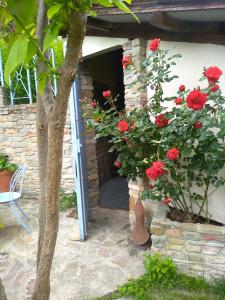 un patio con flores rojas y una pared de piedra en Alle Rive Bed'n'Books Apt en Calamandrana
