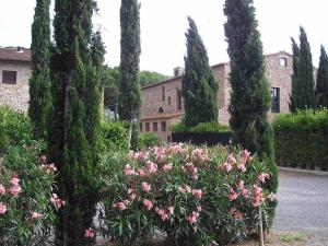 A garden outside Casaleaurelia