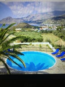 a pool with chairs and a palm tree and mountains at Erato in Plakias