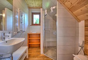 a bathroom with a sink and a shower at Ośrodek Wideta in Wetlina