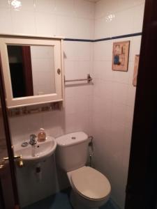 uma pequena casa de banho com WC e lavatório em Javi em Gijón