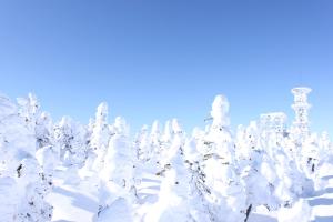 Aspen Shiga v zimě