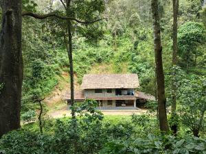 a house in the middle of a forest at Kwality Estate in Madikeri