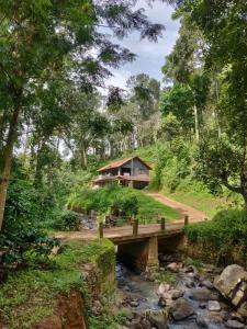 a house on a bridge over a stream in a forest at Kwality Estate in Madikeri