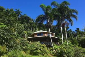 Gallery image of A Daintree Garden in Diwan