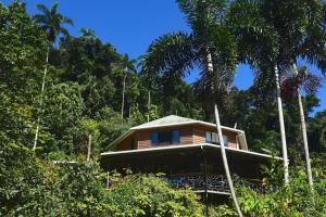 Zahrada ubytování A Daintree Garden