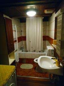 Koupelna v ubytování Apartman rico