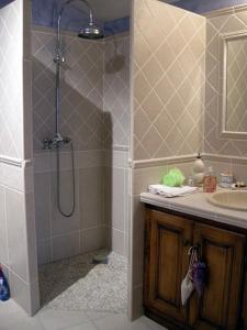 een badkamer met een douche en een wastafel bij Chambre d'hôtes Esterelle in Pernes-les-Fontaines