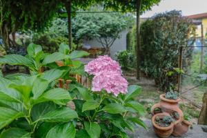 Afbeelding uit fotogalerij van Il Germano Reale in Alba +23 foto's