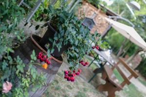 Afbeelding uit fotogalerij van Il Germano Reale in Alba