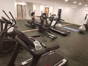 Fitness centrum a/nebo fitness zařízení v ubytování Muscat Gate Hotel