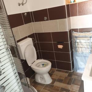 Kúpeľňa v ubytovaní Apartman Jež - free parking, self check in