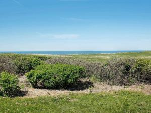 een veld met struiken en de oceaan op de achtergrond bij 6 person holiday home in L kken in Løkken