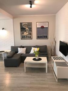 Televízia a/alebo spoločenská miestnosť v ubytovaní Apartament Ustecka Ostoja Na Wydmie