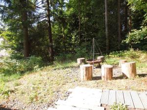 een park met een schommel en wat hout en bomen bij Blockhaus Bodefall in Braunlage