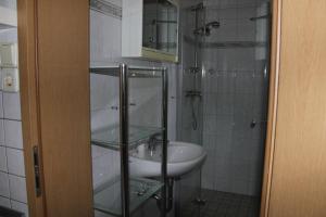 y baño con lavabo y ducha acristalada. en Pension Angelika, en Cottbus