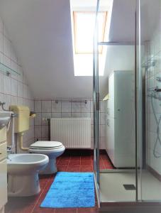 uma casa de banho com um WC, um chuveiro e uma janela. em Apartment Ana em Ljubno