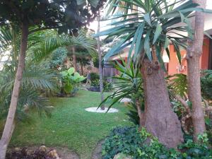 un jardin avec des palmiers et de la pelouse ainsi qu'un bâtiment dans l'établissement El Limonero, à Fuengirola