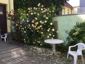 a table and chairs in front of a wall with roses at Ferienwohnungen An der Bimmelbahn Wernigerode in Wernigerode