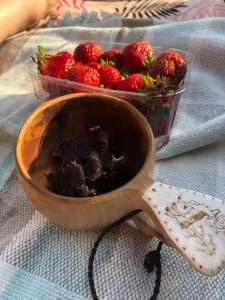 Jídlo v vily nebo okolí + 104 fotografií