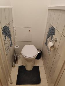 a small bathroom with a toilet and a shower at Kölcsey Apartman in Szekszárd