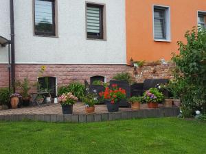un montón de macetas de flores en un patio en Himmelblau, en Ilmenau