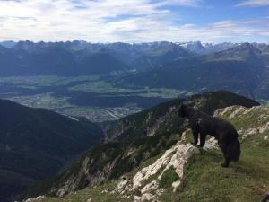 Zdjęcie z galerii obiektu Haus Meinrad w mieście Seefeld in Tirol