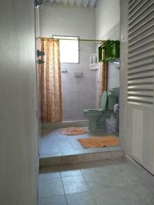 uma casa de banho com um chuveiro e um WC verde em Habitación Casa Las Aves em Honda