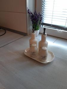 two bottles on a plate on a table at Apartments The Old Well in Gornji Vaganac