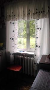 RubtsovskにあるApartment on Altaiskaia 181の窓付きのキッチン(猫用カーテン付)