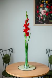 凱斯特海伊的住宿－Virágos vendégház，花瓶,花朵红色,坐在桌子上