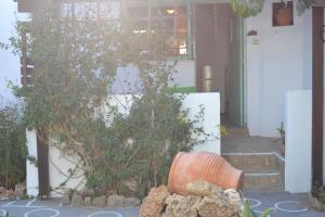 un barril sentado frente a una casa con una planta en Skyros Koxilas Studios en Skyros