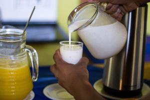 諾布里斯的住宿－Pousada Rota das Águas，正在把牛奶倒进搅拌机的人