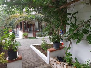 Zahrada ubytování Hotel Le Viole