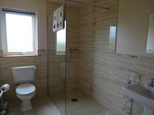 a bathroom with a toilet and a shower and a sink at The Chalet at Corvally in Portrush