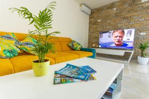 Televízia a/alebo spoločenská miestnosť v ubytovaní Villa Decima