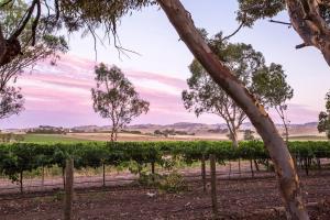 Gallery image of Jasmine's Barossa Valley Cottage in Lyndoch