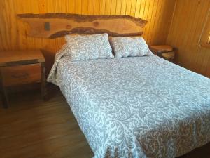 Fotografie z fotogalerie ubytování CABAÑAS BOSQUE NEVADO v destinaci Malalcahuello